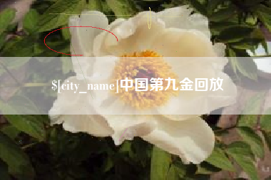 襄阳中国第九金回放