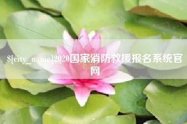 襄阳2020国家消防救援报名系统官网
