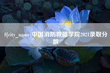 襄阳中国消防救援学院2021录取分数