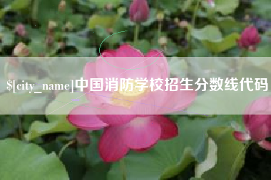 襄阳中国消防学校招生分数线代码