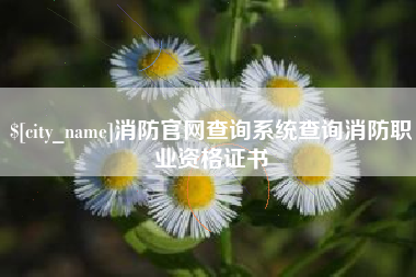 襄阳消防官网查询系统查询消防职业资格证书