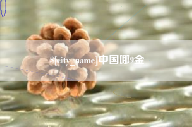 襄阳中国哪9金