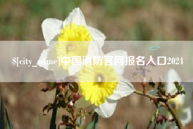 襄阳中国消防官网报名入口2024