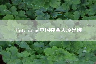 襄阳中国夺金大项是谁