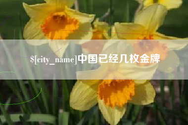 襄阳中国已经几枚金牌