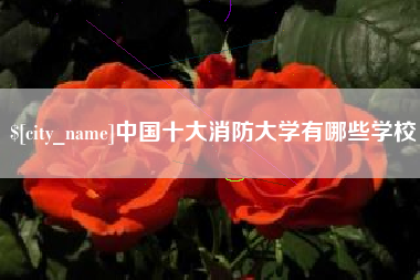 襄阳中国十大消防大学有哪些学校
