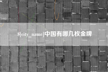 襄阳中国有哪几枚金牌