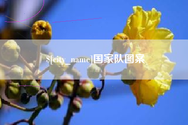 襄阳国家队图案