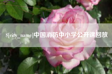 襄阳中国消防中小学公开课回放