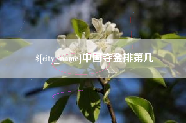 襄阳中国夺金排第几