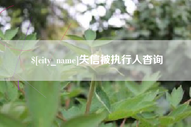 襄阳失信被执行人杳询