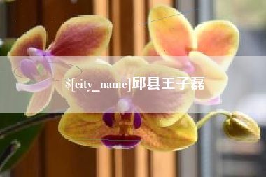 襄阳邱县王子磊