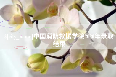 襄阳中国消防救援学院2020年录取结果