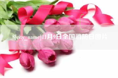 襄阳11月9日全国消防日图片