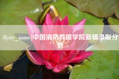 襄阳中国消防救援学院新疆录取分数