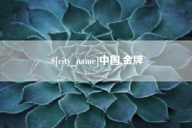 襄阳中国,金牌
