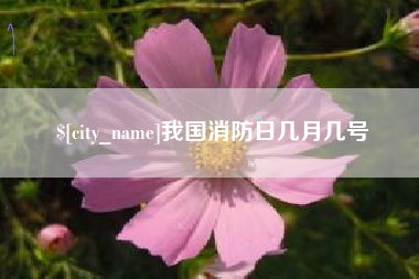 襄阳我国消防日几月几号
