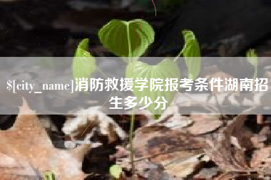 襄阳消防救援学院报考条件湖南招生多少分
