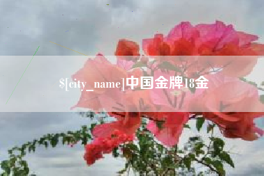 襄阳中国金牌18金