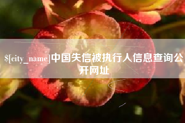襄阳中国失信被执行人信息查询公开网址