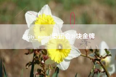 襄阳奥运会39块金牌