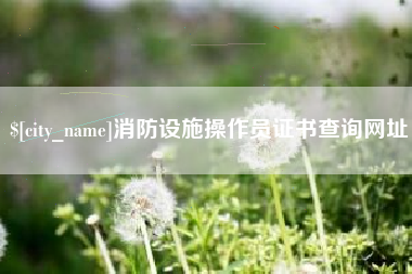 襄阳消防设施操作员证书查询网址
