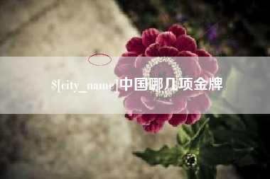 襄阳中国哪几项金牌