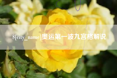 襄阳奥运第一波九宫格解说