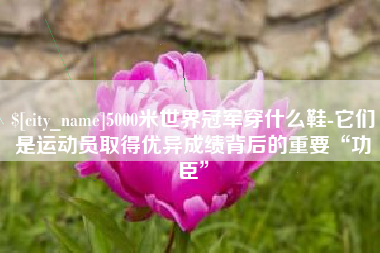 襄阳5000米世界冠军穿什么鞋-它们是运动员取得优异成绩背后的重要“功臣”
