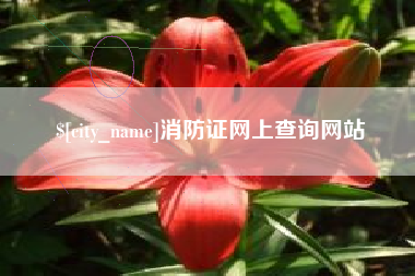 襄阳消防证网上查询网站