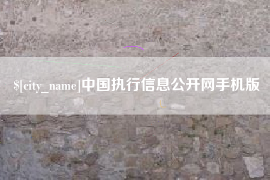 襄阳中国执行信息公开网手机版