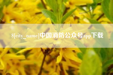 襄阳中国消防公众号app下载