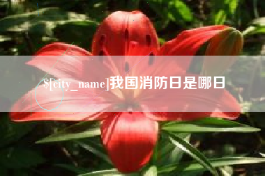 襄阳我国消防日是哪日
