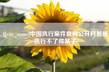 襄阳中国执行案件查询公开网都是执行不了得案子