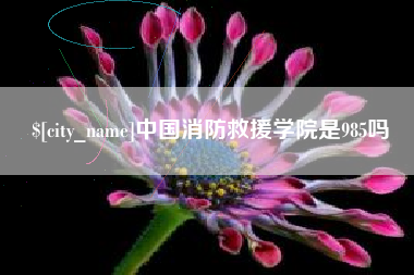 襄阳中国消防救援学院是985吗