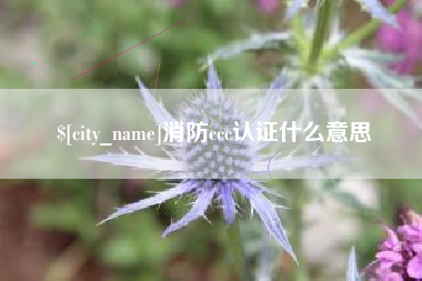 襄阳消防ccc认证什么意思