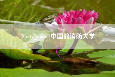 襄阳中国的消防大学