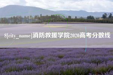 襄阳消防救援学院2020高考分数线