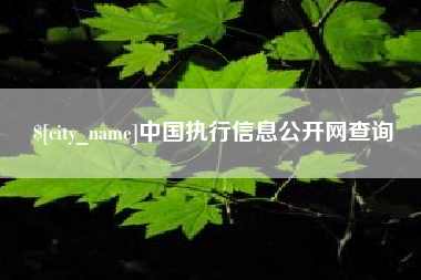 襄阳中国执行信息公开网查询