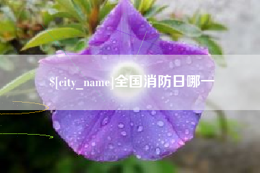 襄阳全国消防日哪一
