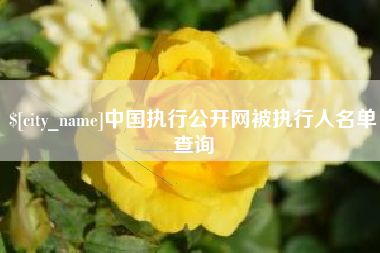 襄阳中国执行公开网被执行人名单查询