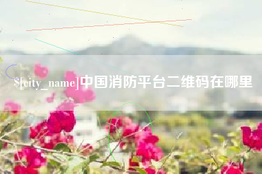 襄阳中国消防平台二维码在哪里