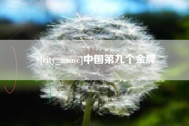 襄阳中国第九个金牌
