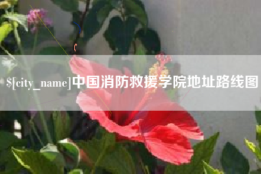 襄阳中国消防救援学院地址路线图