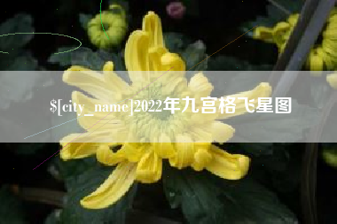 襄阳2022年九宫格飞星图