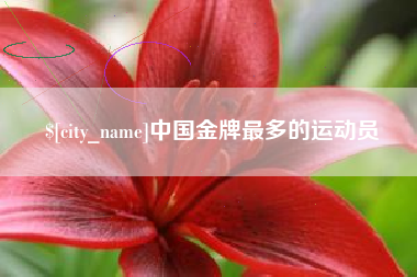 襄阳中国金牌最多的运动员