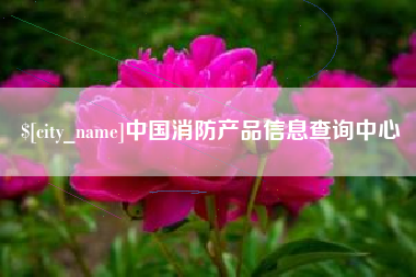 襄阳中国消防产品信息查询中心