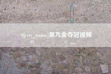 襄阳第九金夺冠视频
