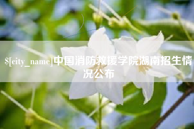 襄阳中国消防救援学院湖南招生情况公布