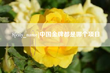 襄阳中国金牌都是哪个项目